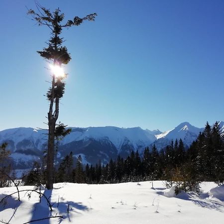 Chalupka U Babicky Villa Ždiar Exteriör bild