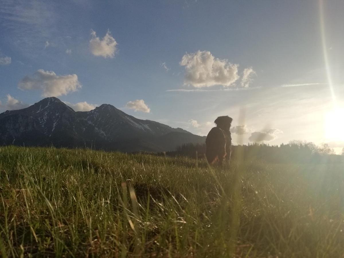 Chalupka U Babicky Villa Ždiar Exteriör bild