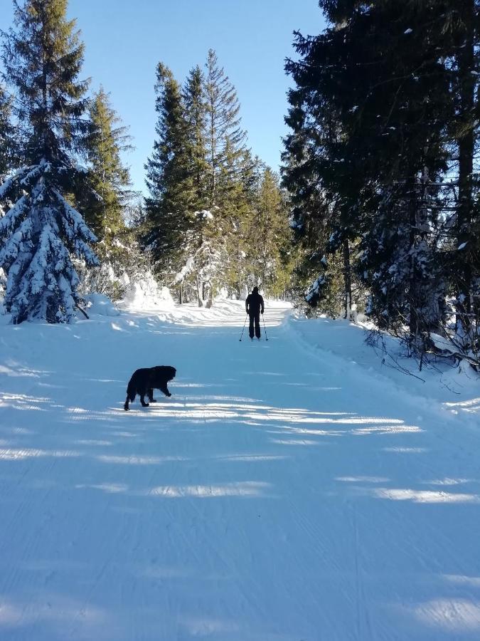 Chalupka U Babicky Villa Ždiar Exteriör bild